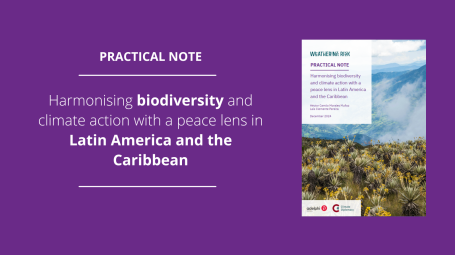 Harmonising biodiversity and climate action with a peace lens in Latin America and the Caribbean - BCSC-Cali Practical Note Cover