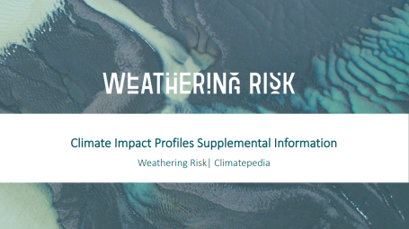 CIP Supplementary Information