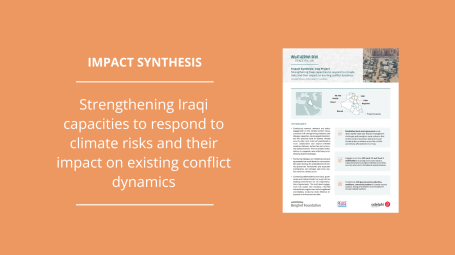 Impact Synthesis Iraq banner