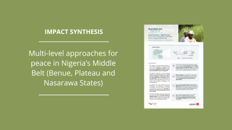Impact Synthesis Nigeria