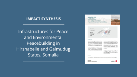 Impact Synthesis Somalia banner