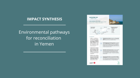 Impact Synthesis Yemen