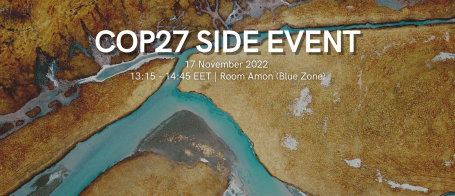 COP27