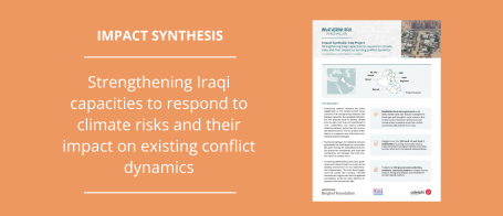 Impact Synthesis Iraq banner
