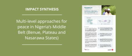 Impact Synthesis Nigeria