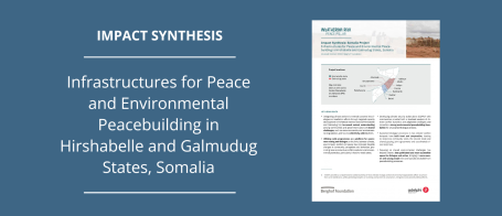 Impact Synthesis Somalia banner