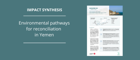 Impact Synthesis Yemen