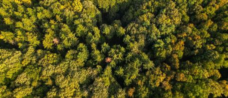 ECCP Learning Series on Climate Security