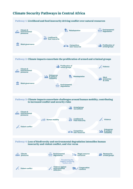 Central Africa Infographic