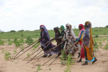Women farmers in Edelbida village, North Darfur, Sudan
