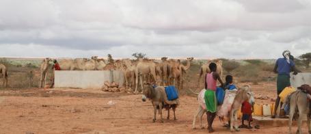 Somalia Multimedia Story