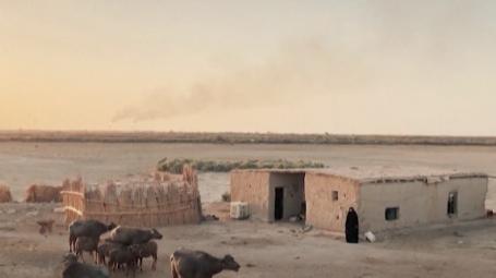 Iraq impact story photo 1