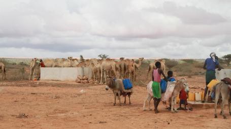 Somalia Multimedia Story